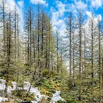 Apartment In Cervinia With Ski Access Брей-Червінія