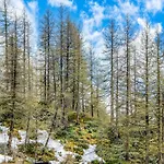 Апартаменти Apartment In Cervinia With Ski Access Брей-Червінія