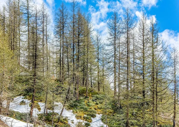 Apartment In Cervinia With Ski Access Breuil-Cervinia