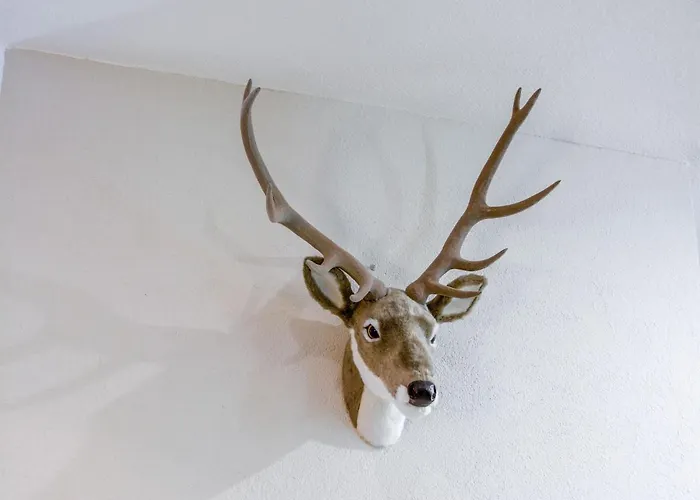 Apartment In Cervinia With Ski Access Breuil-Cervinia