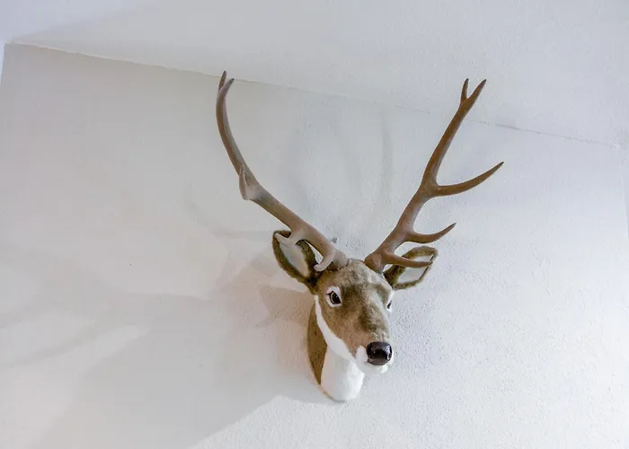 Apartment In Cervinia With Ski Access *